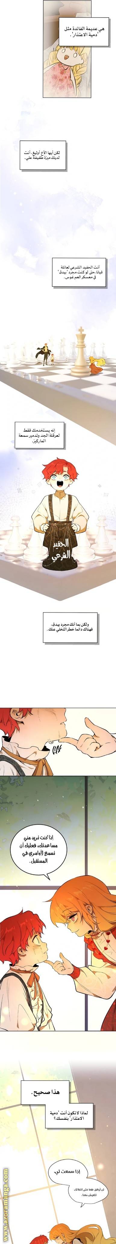 الصفحة 8
