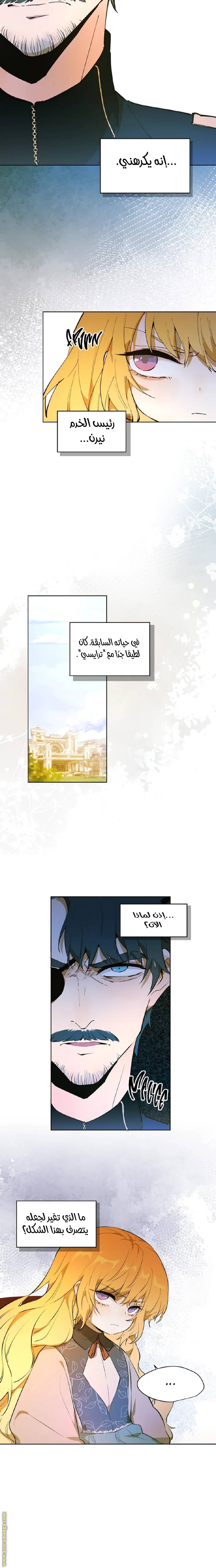 الصفحة 13