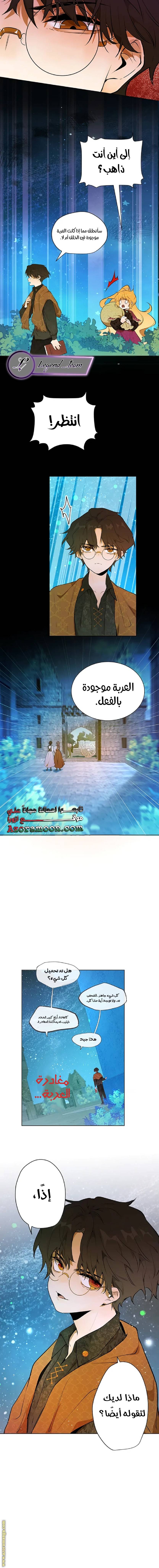 الصفحة 10