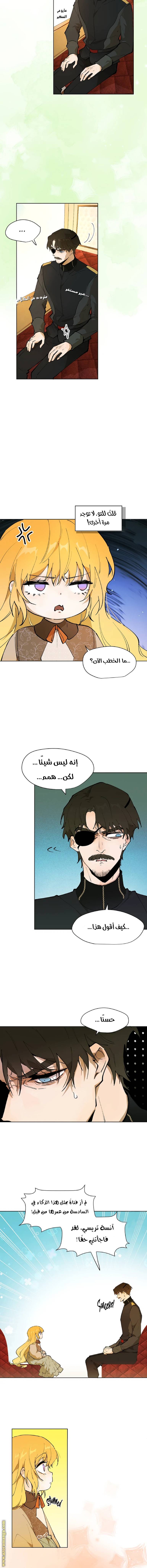 الصفحة 8
