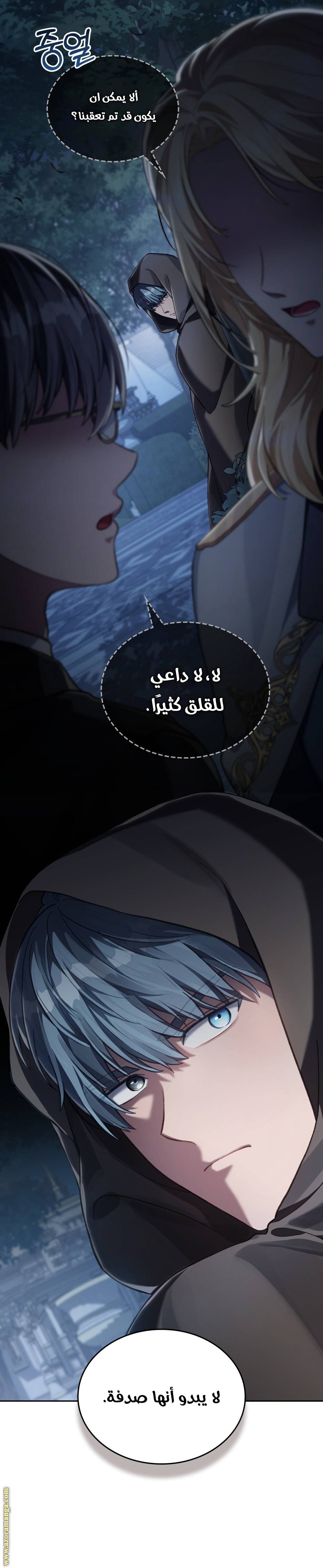 الصفحة 17