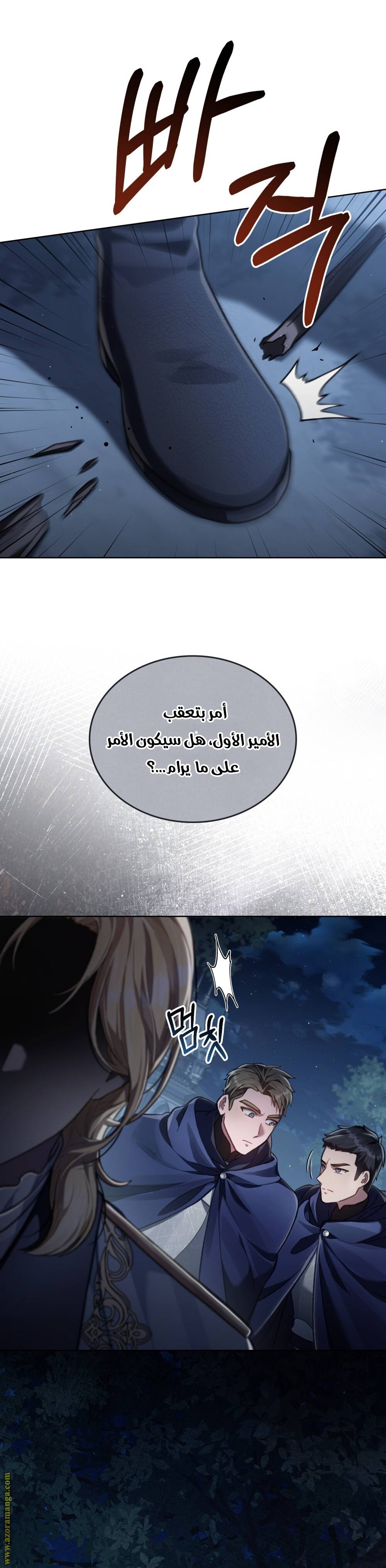 الصفحة 21