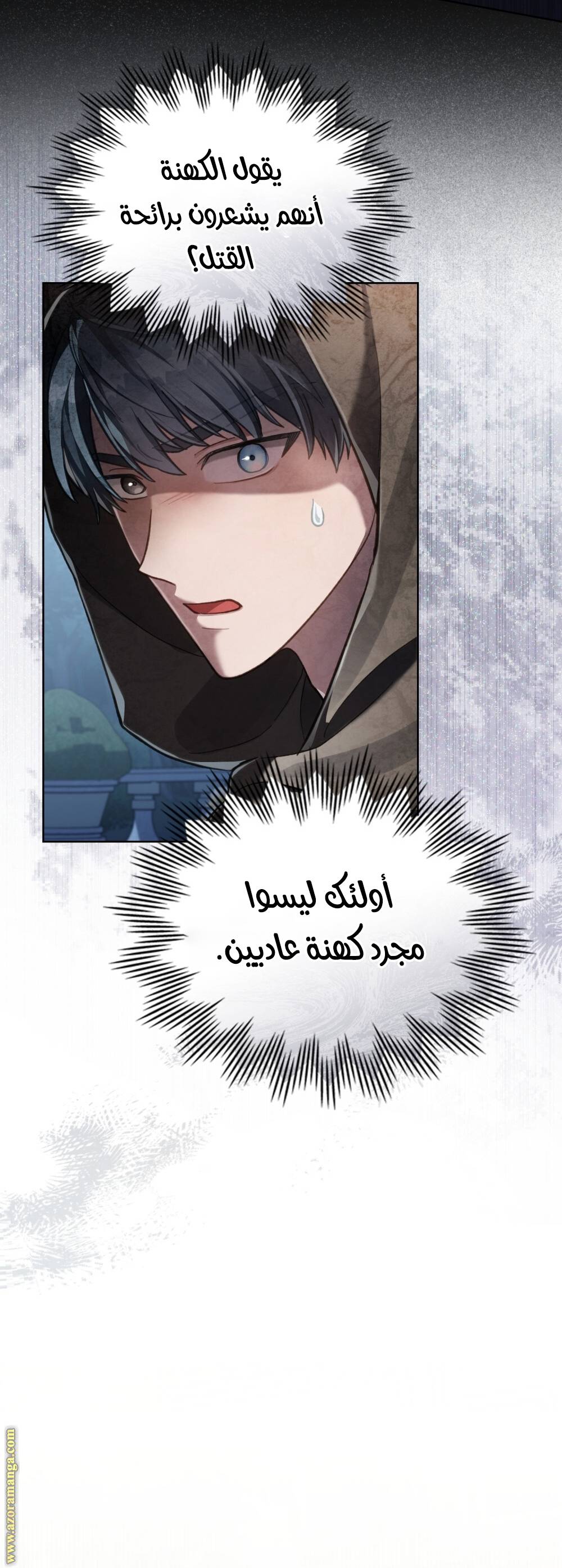 الصفحة 28
