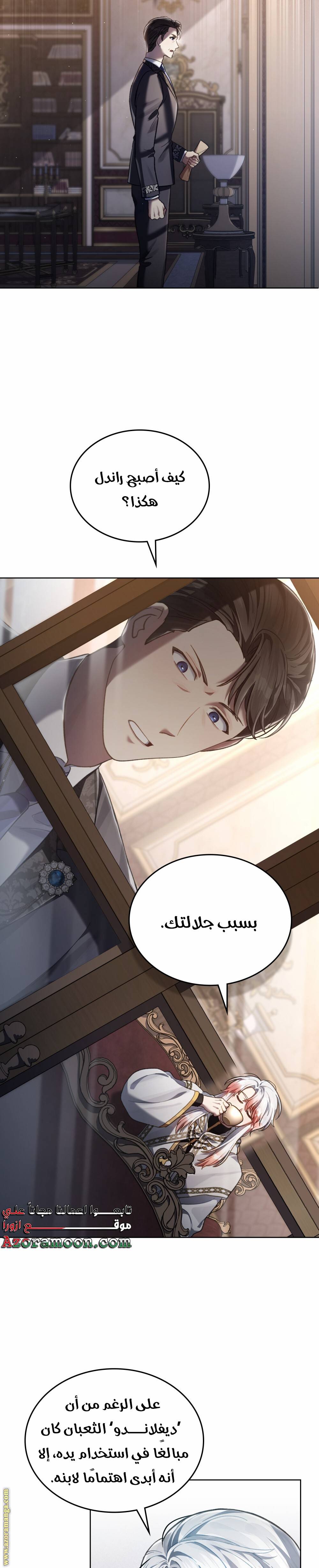 الصفحة 17