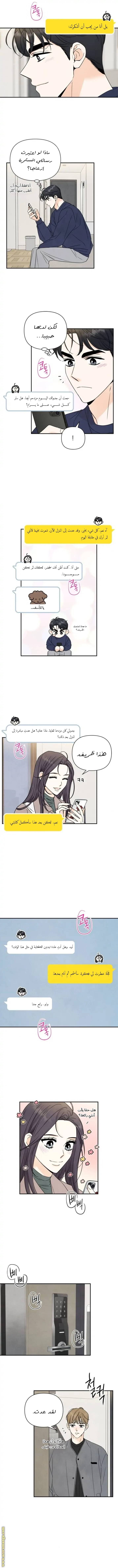 الصفحة 11