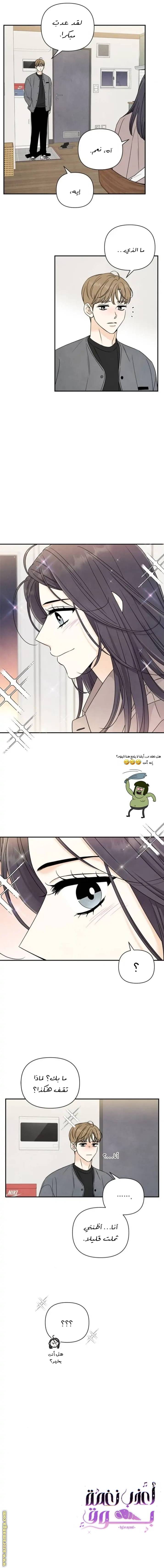 الصفحة 12