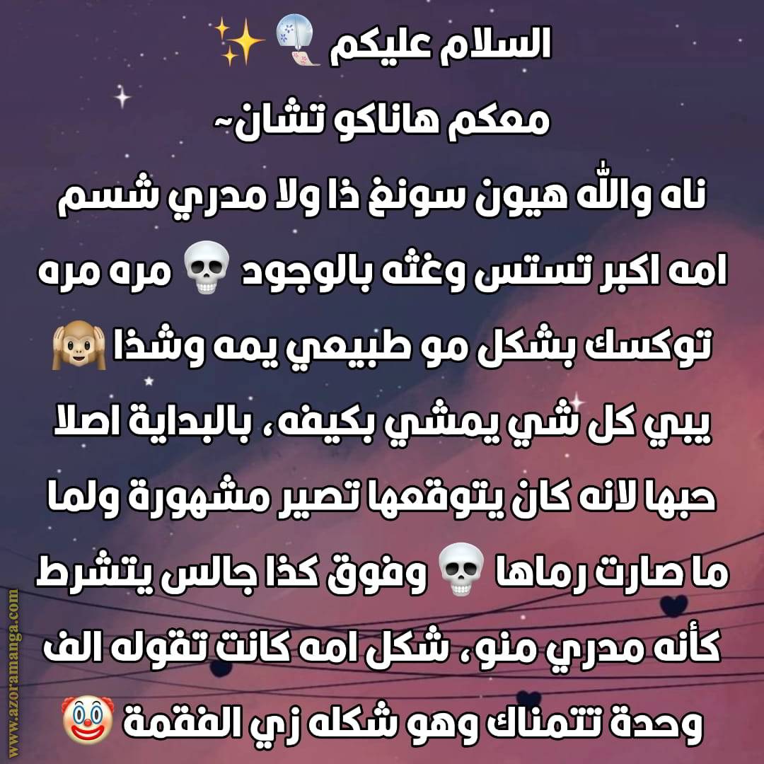 الصفحة 13