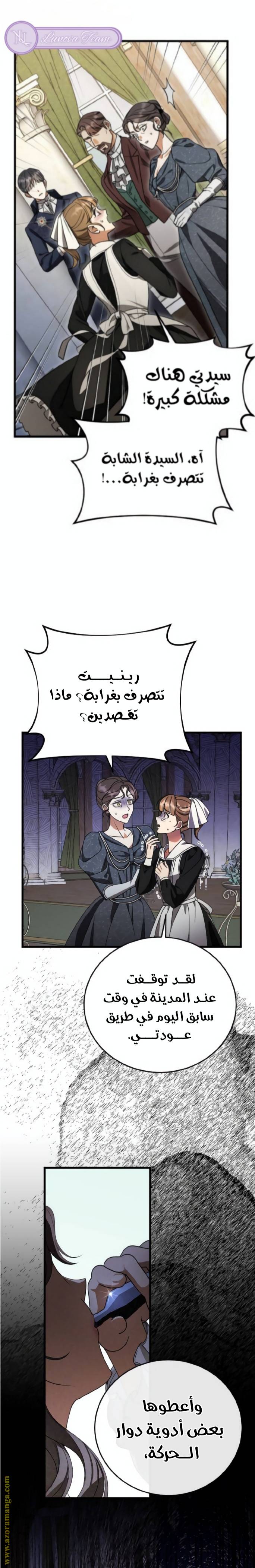 الصفحة 25
