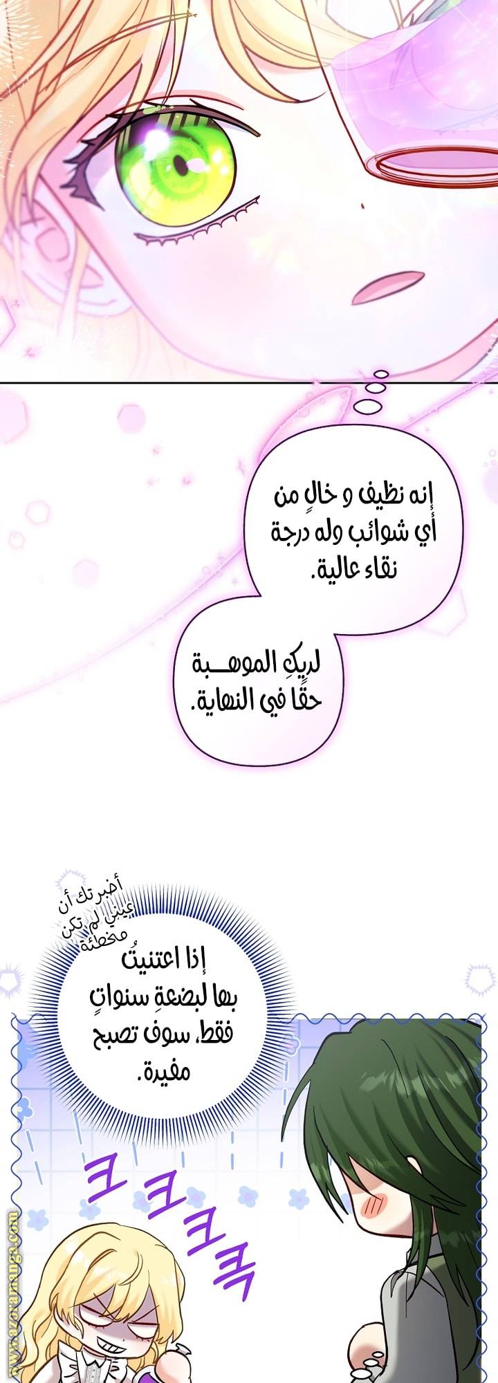 الصفحة 25