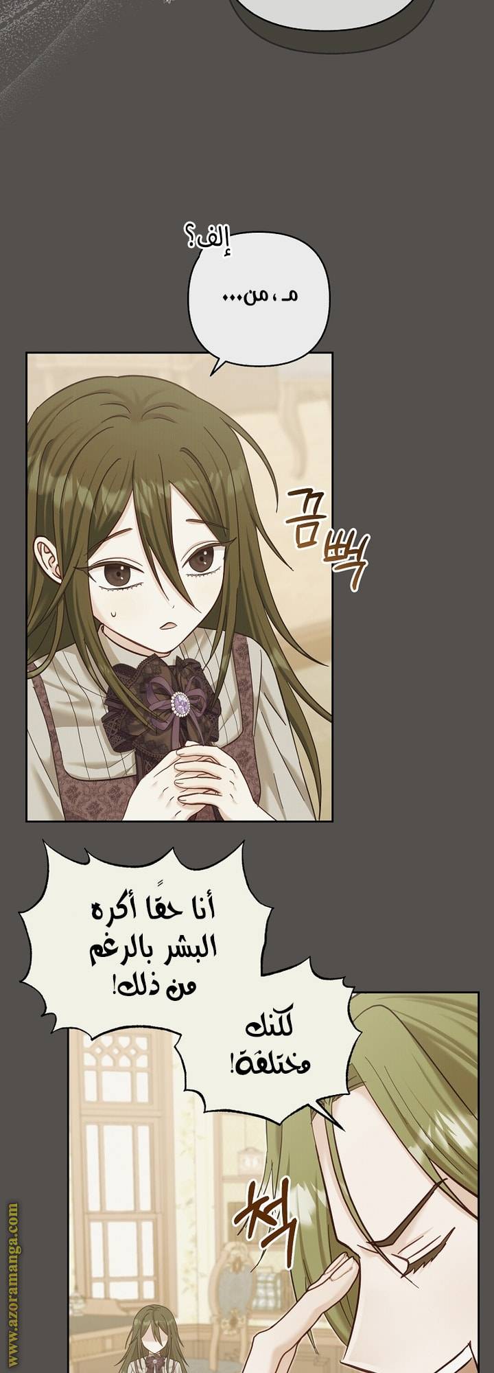 الصفحة 29