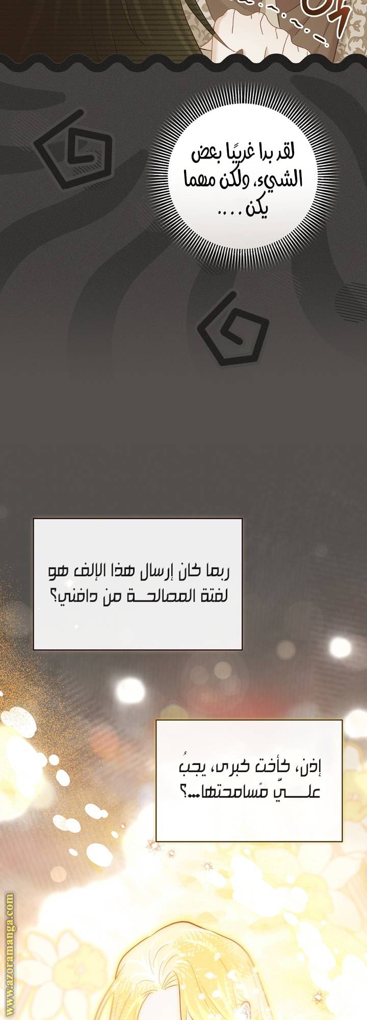 الصفحة 31