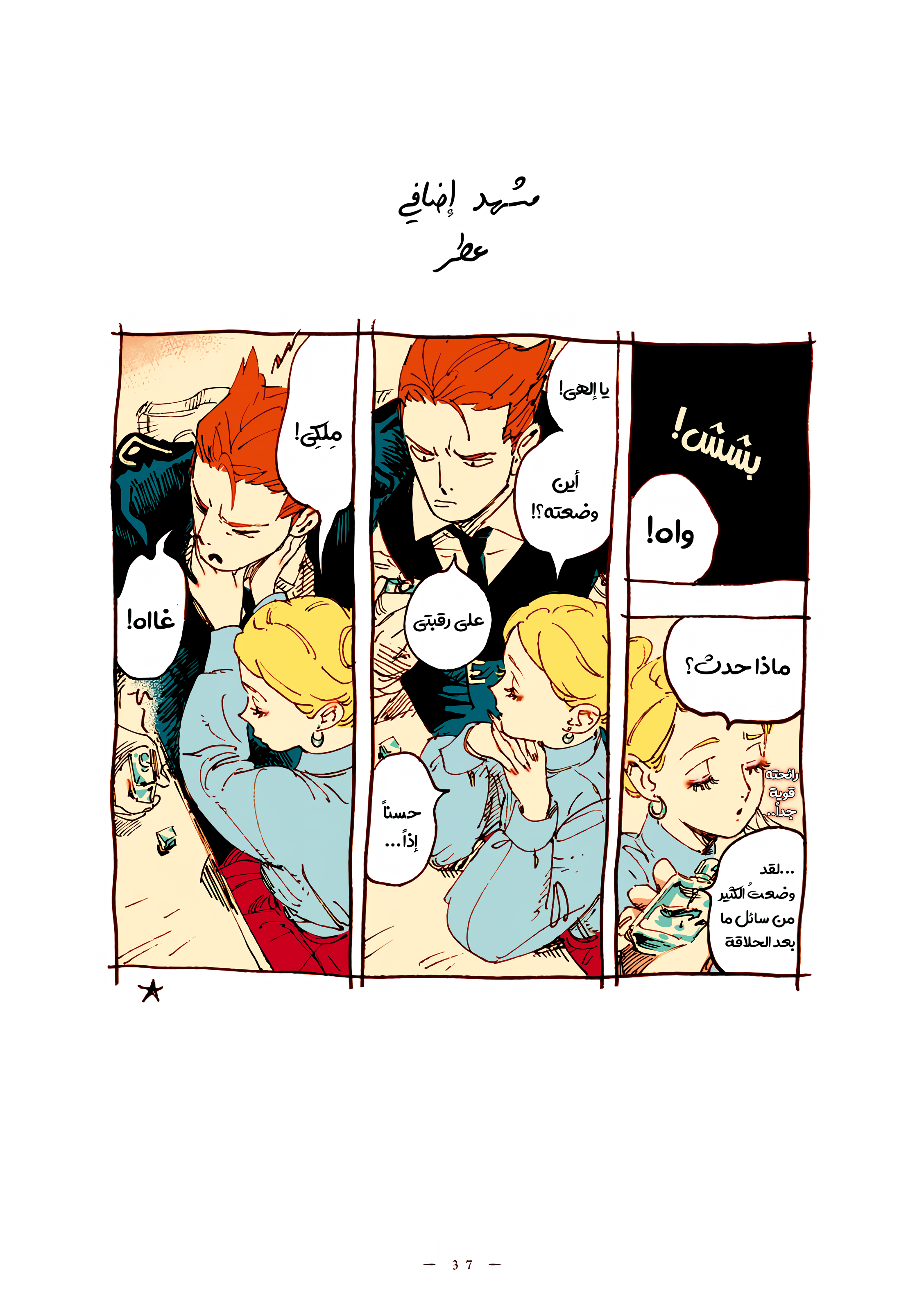 الصفحة 13