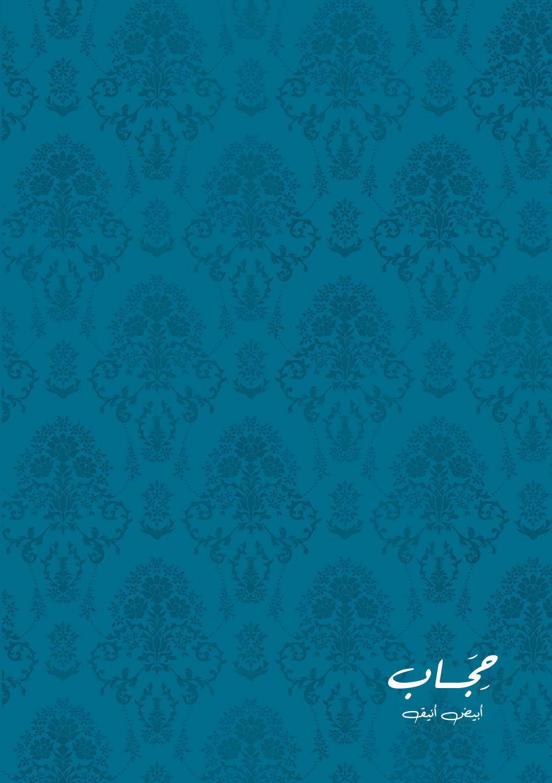 الصفحة 17