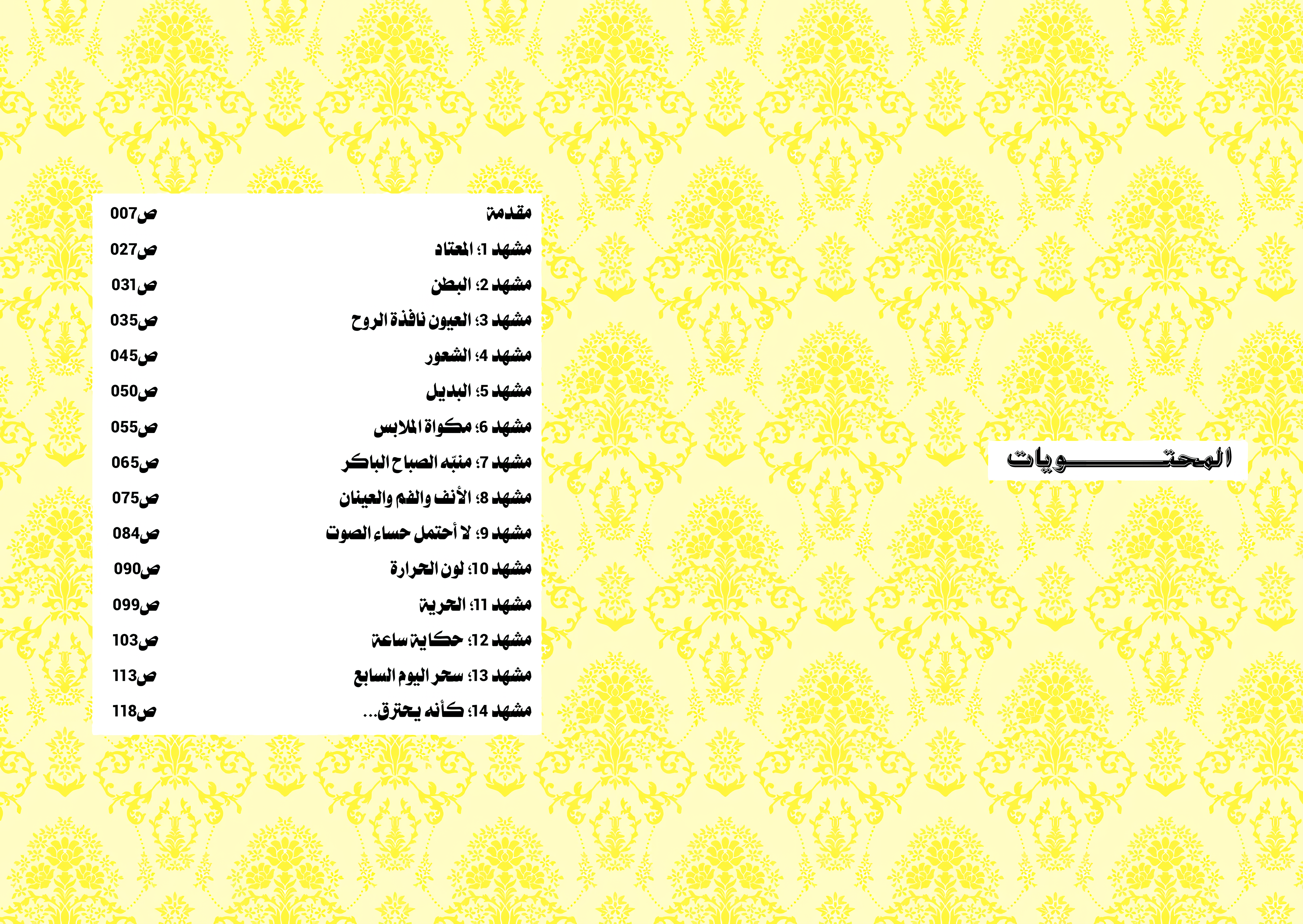 الصفحة 20