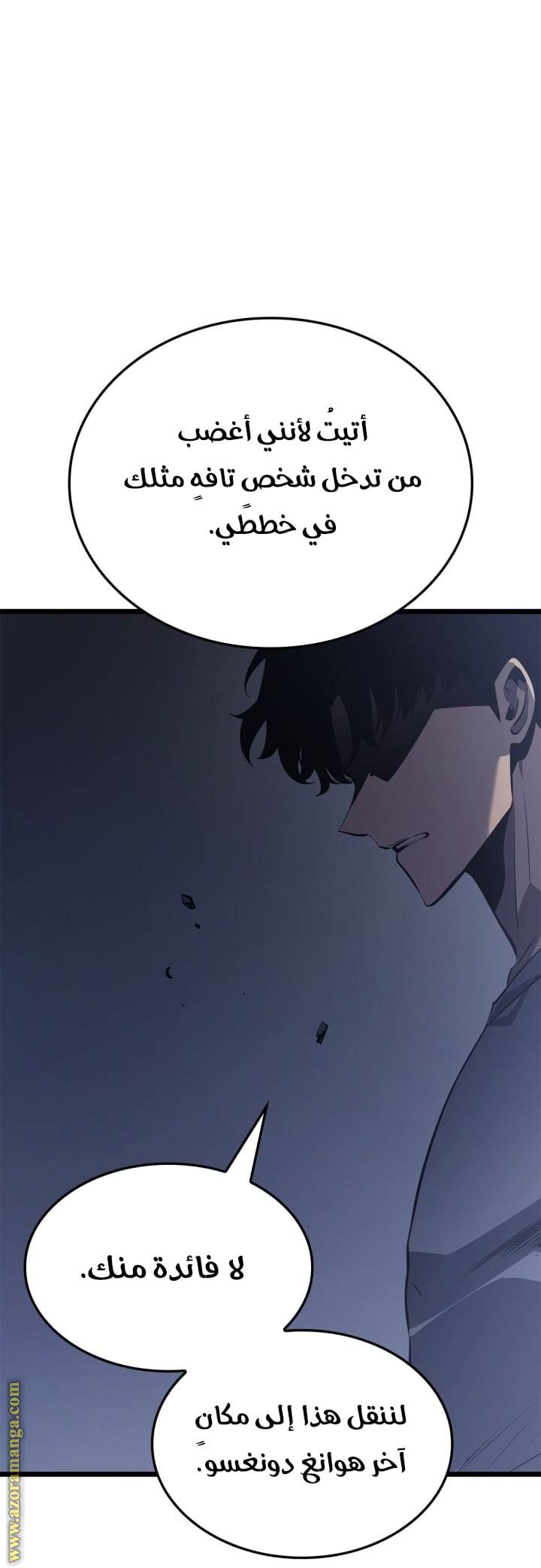 الصفحة 12