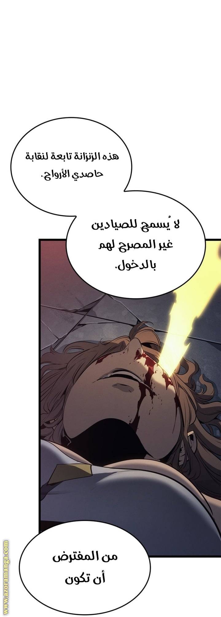 الصفحة 91