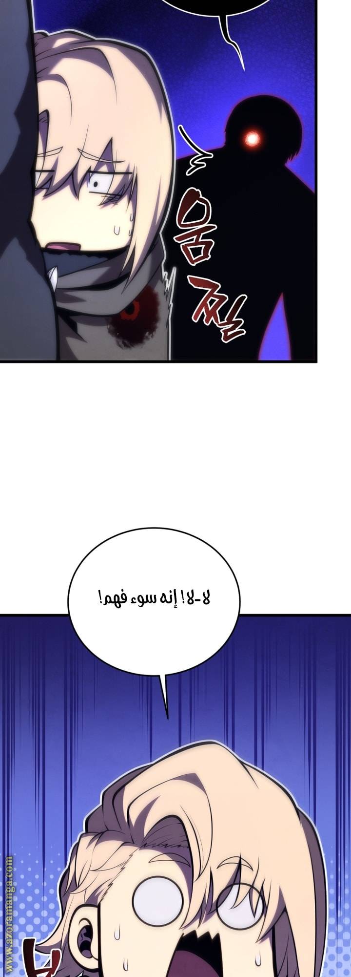 الصفحة 12