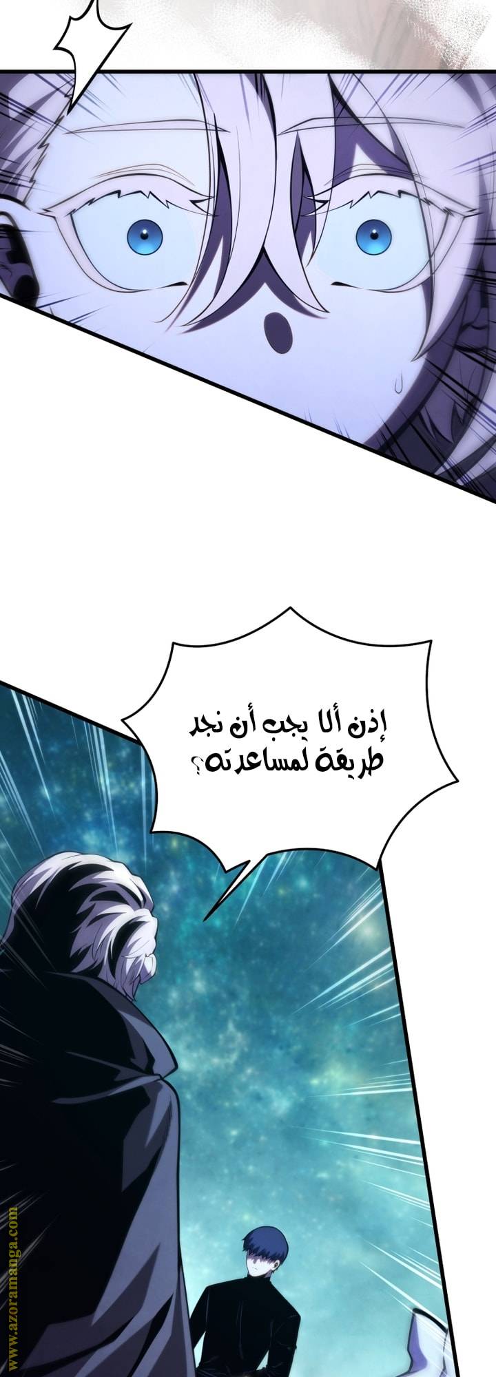 الصفحة 29