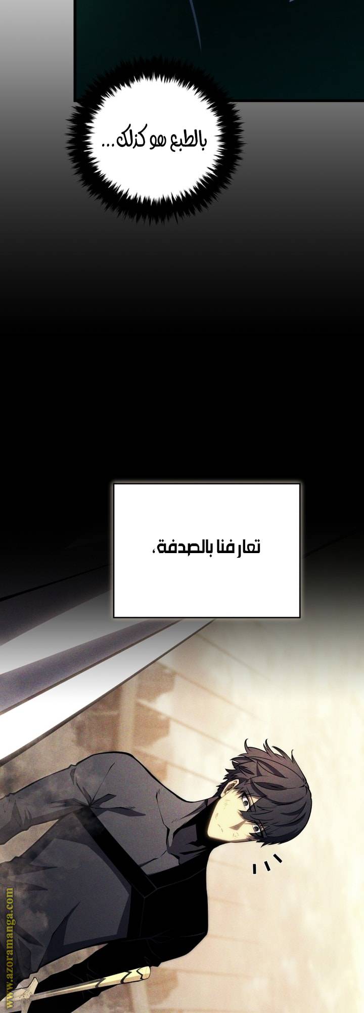 الصفحة 39