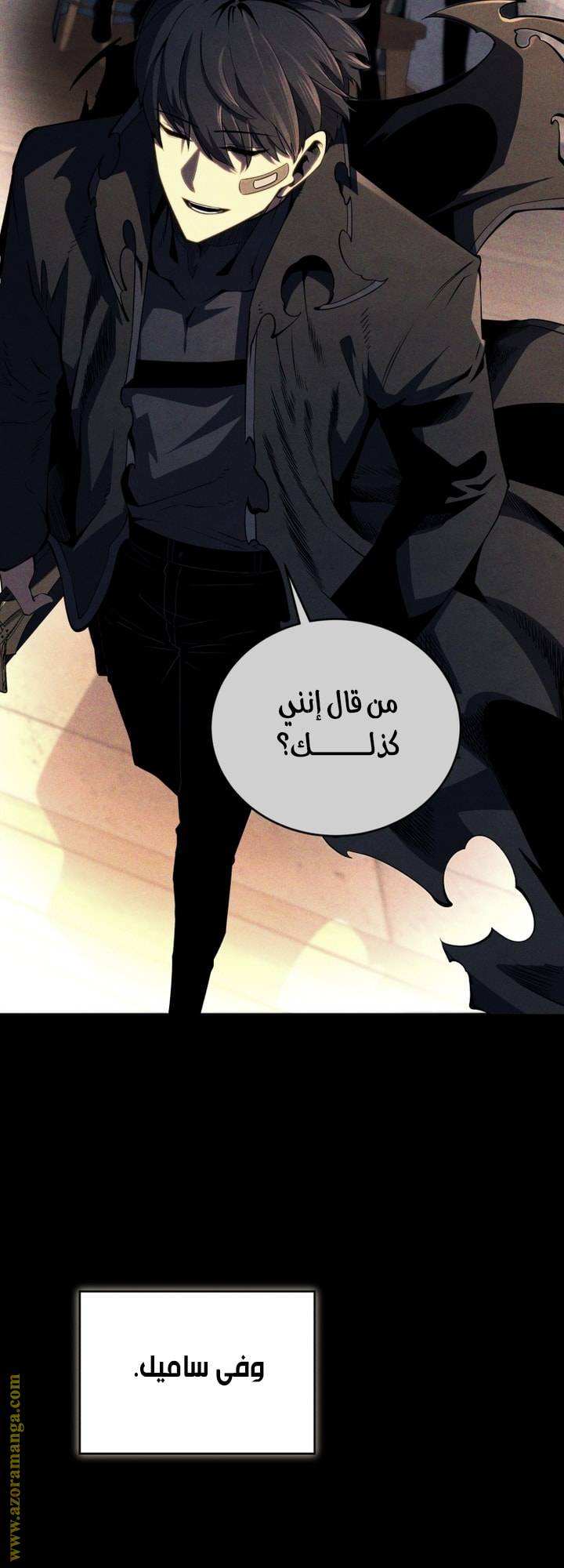 الصفحة 42