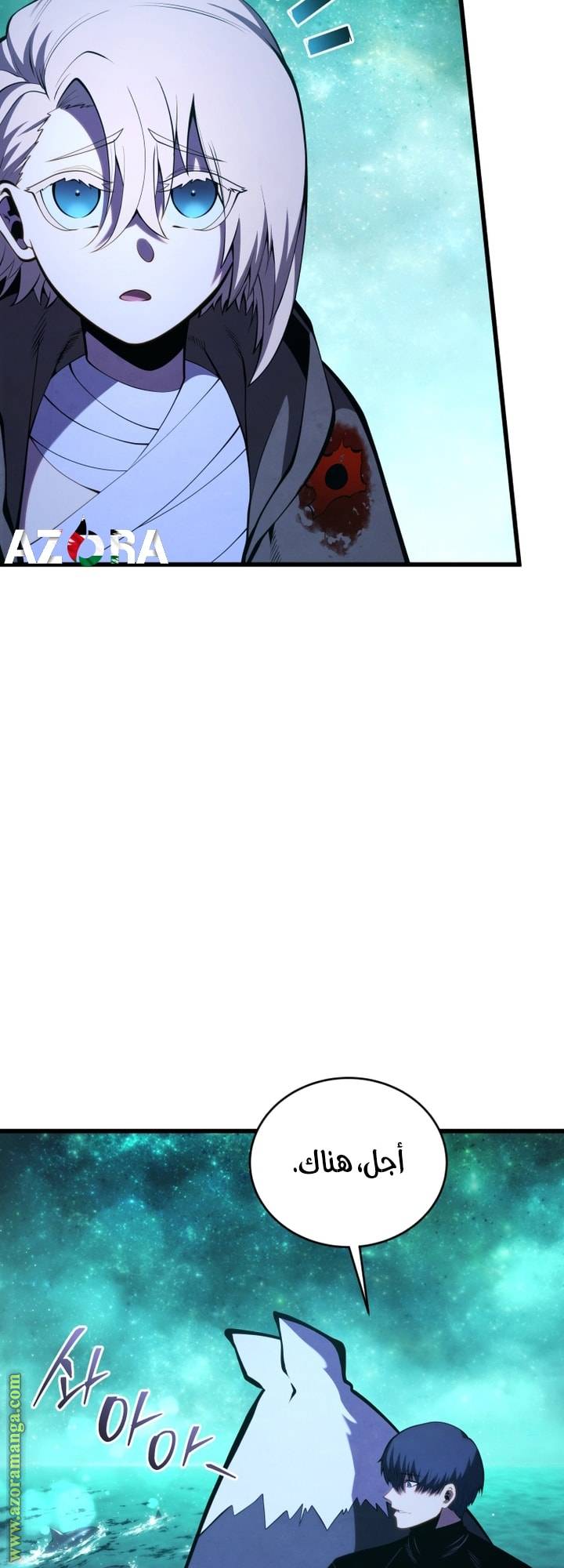 الصفحة 47