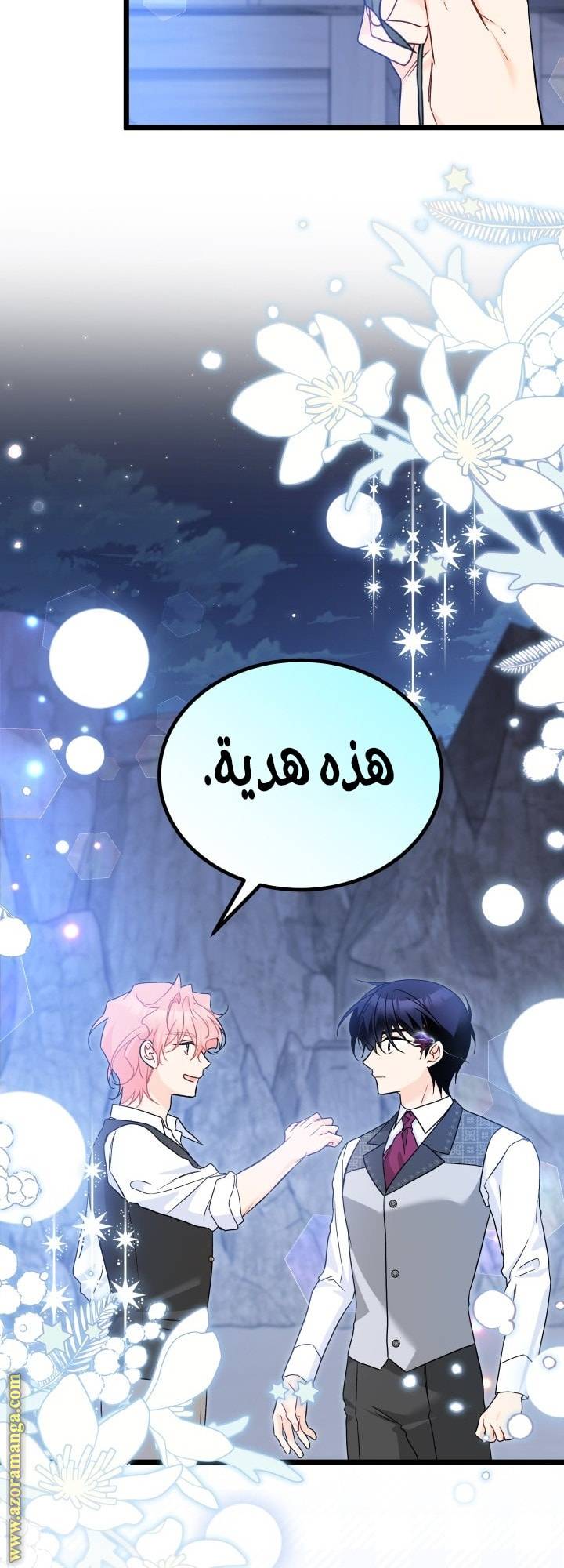 الصفحة 25