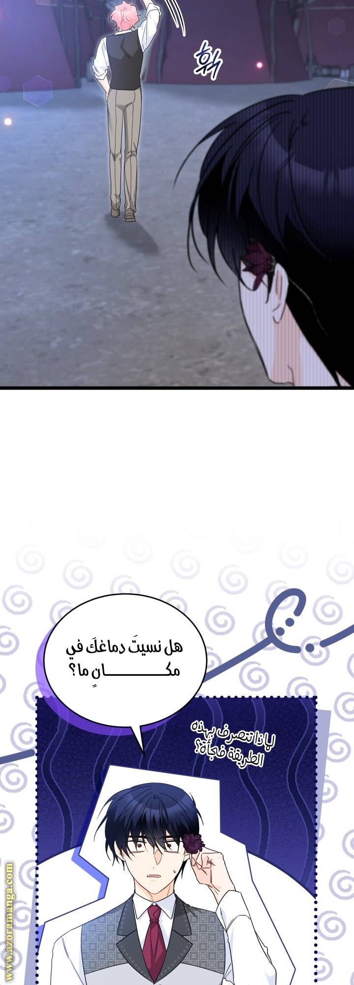 الصفحة 27