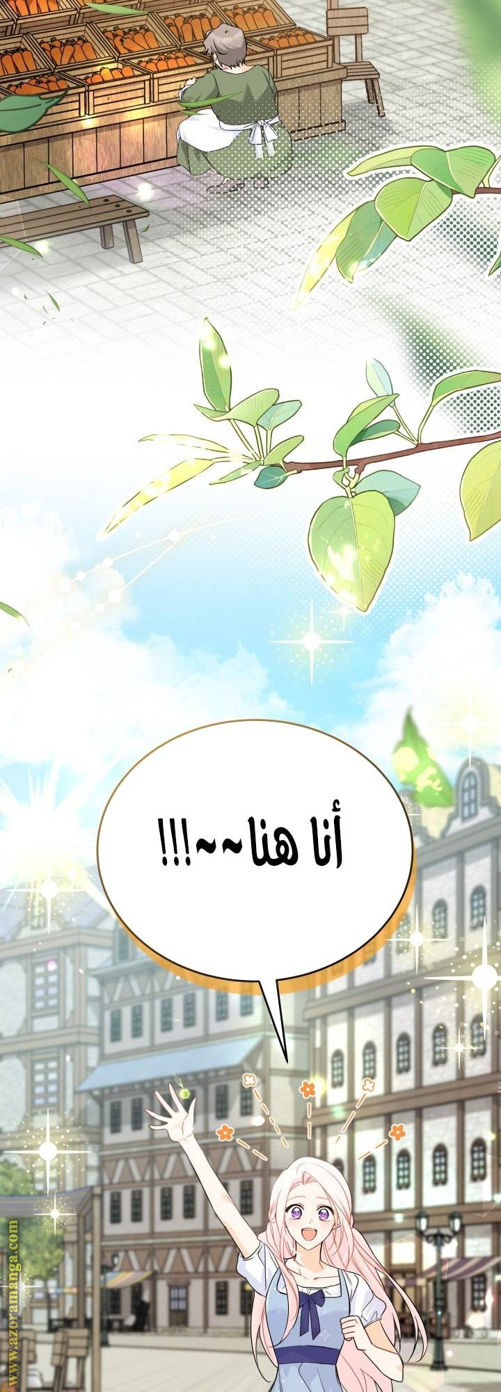 الصفحة 34