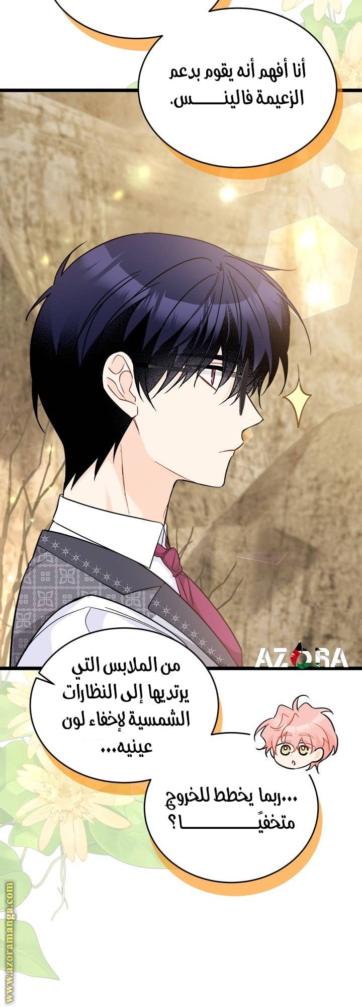 الصفحة 14