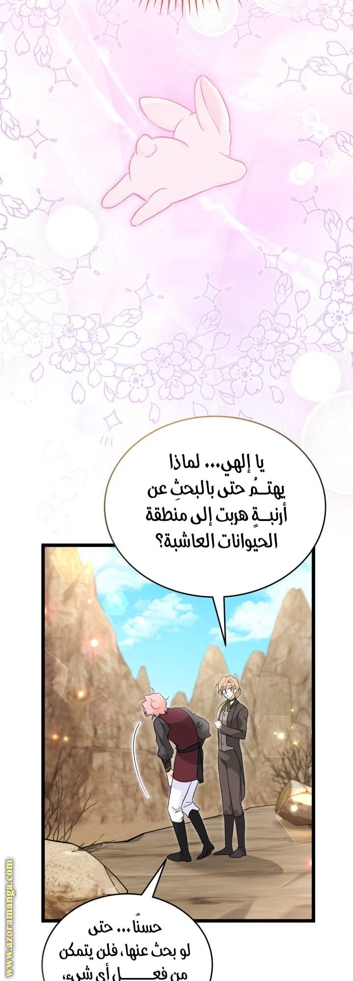 الصفحة 19