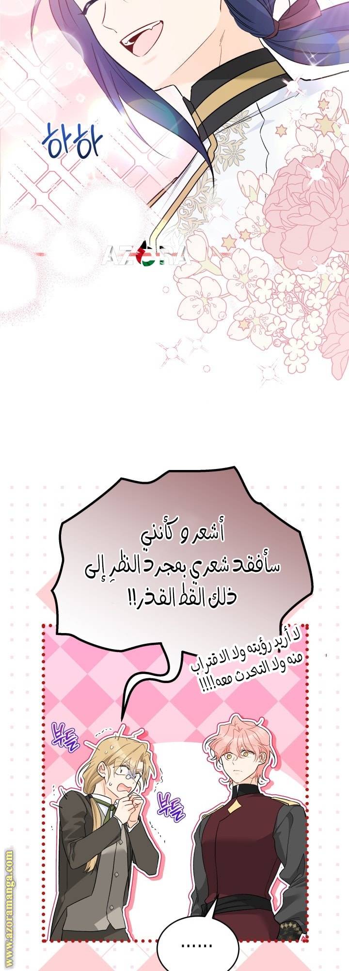 الصفحة 27