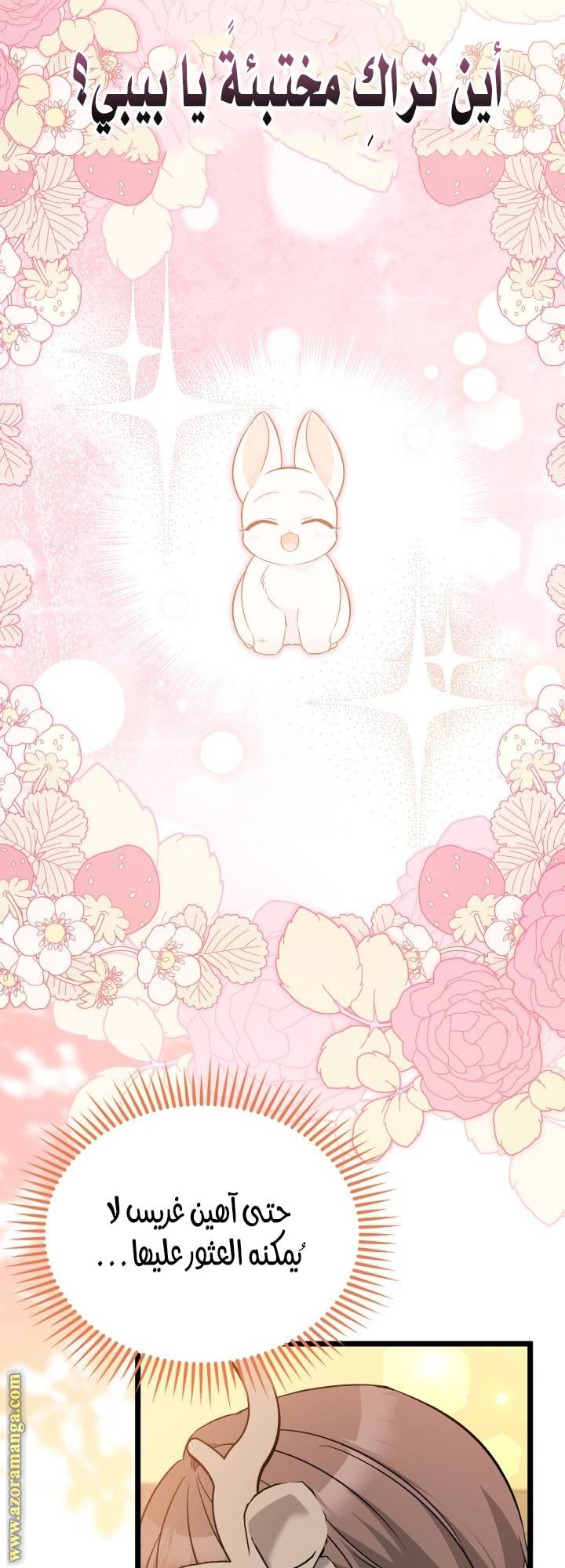الصفحة 34