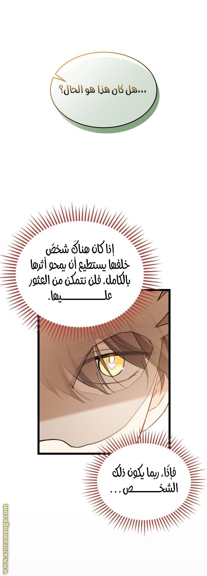 الصفحة 36