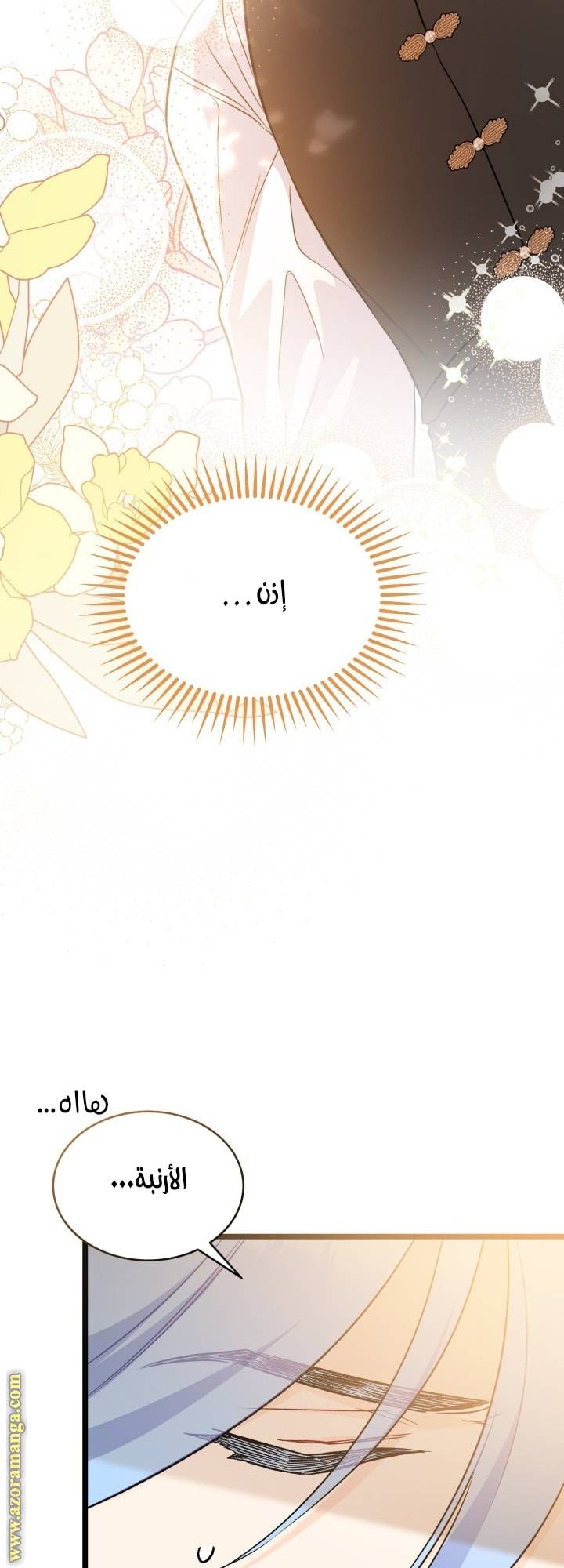 الصفحة 23