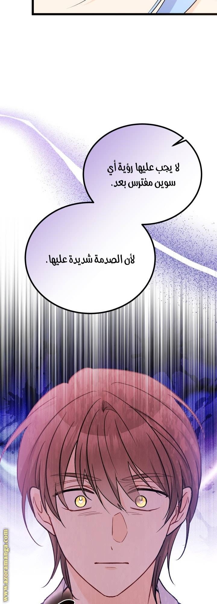 الصفحة 24