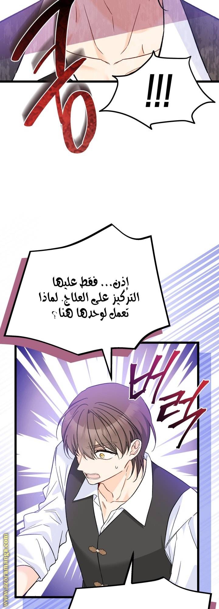 الصفحة 25