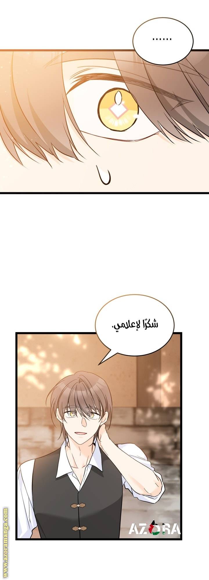 الصفحة 28