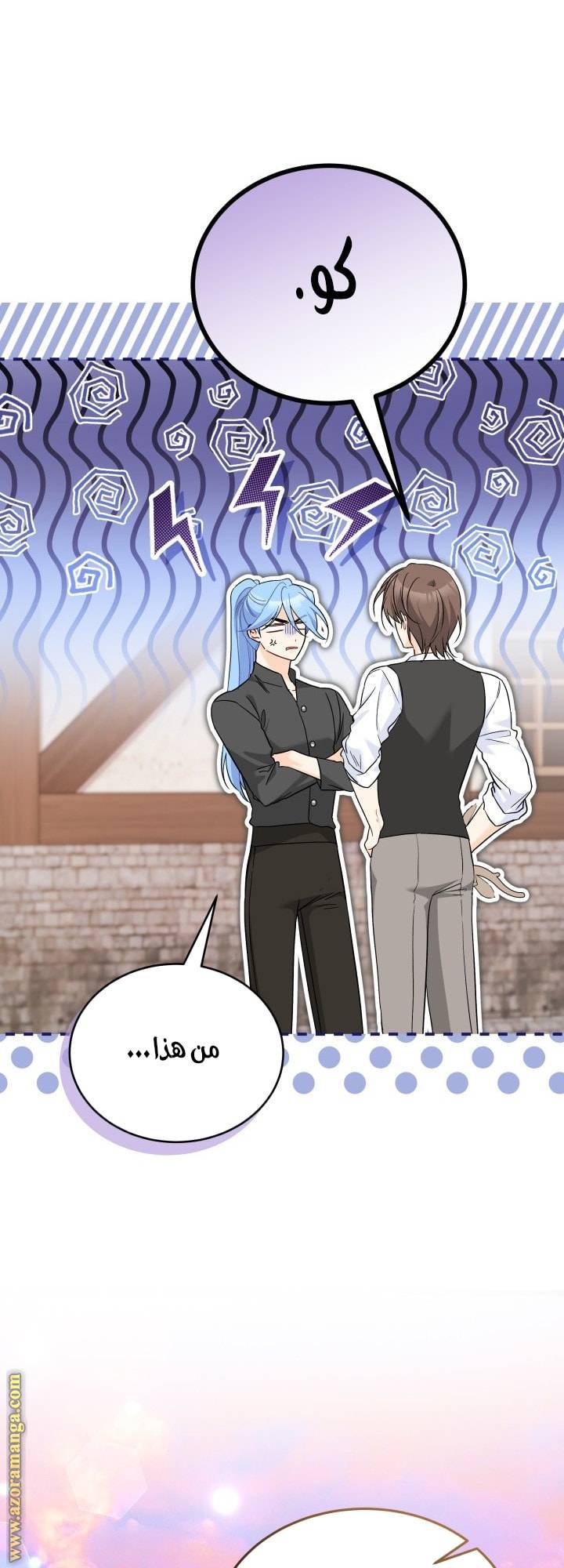 الصفحة 29