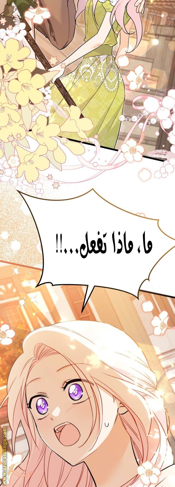 الصفحة 41