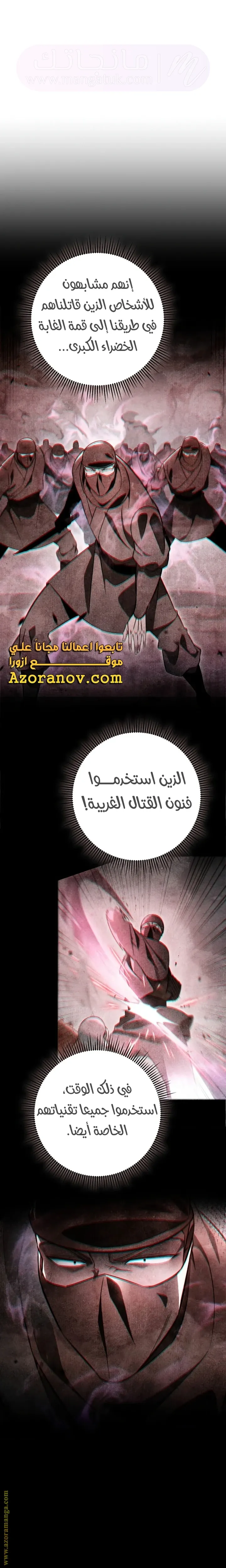 الصفحة 17