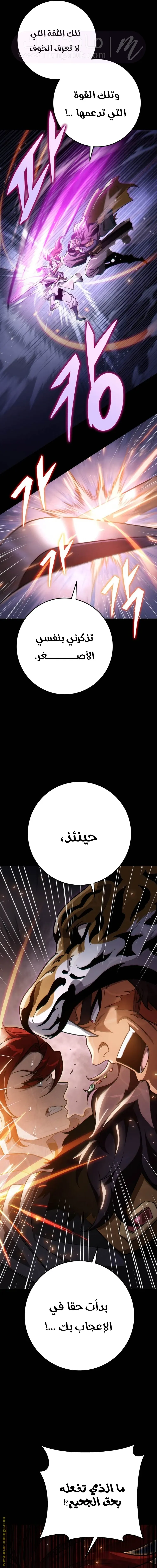 الصفحة 17