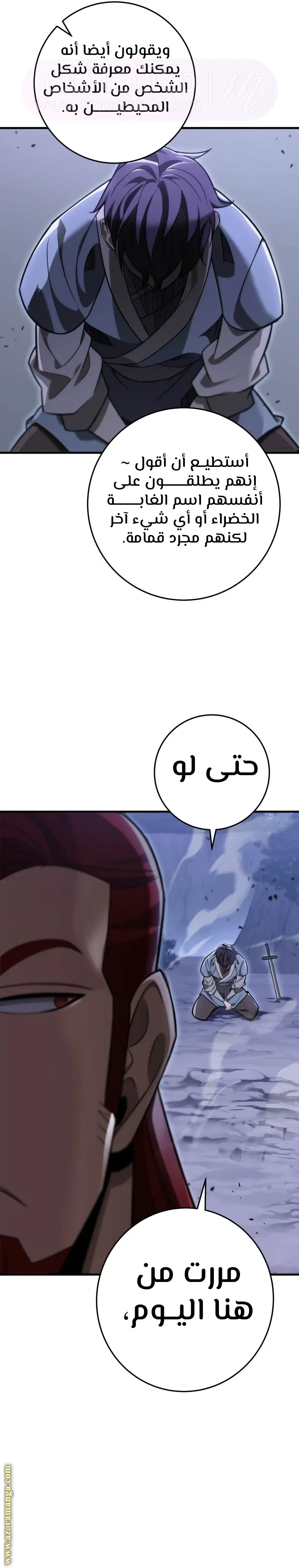 الصفحة 27