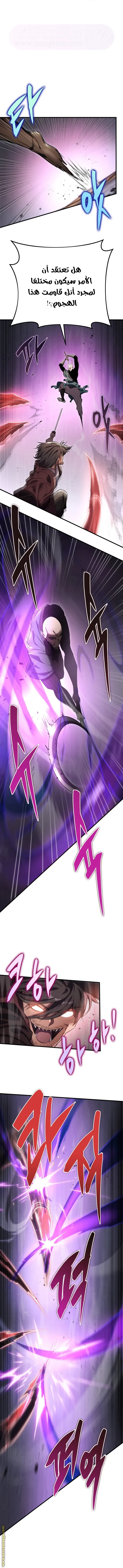 الصفحة 13