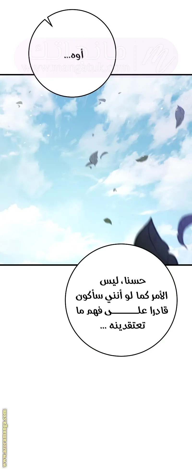 الصفحة 16
