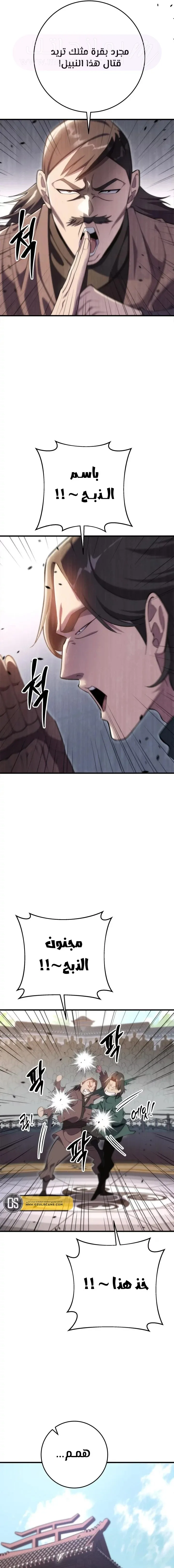 الصفحة 17