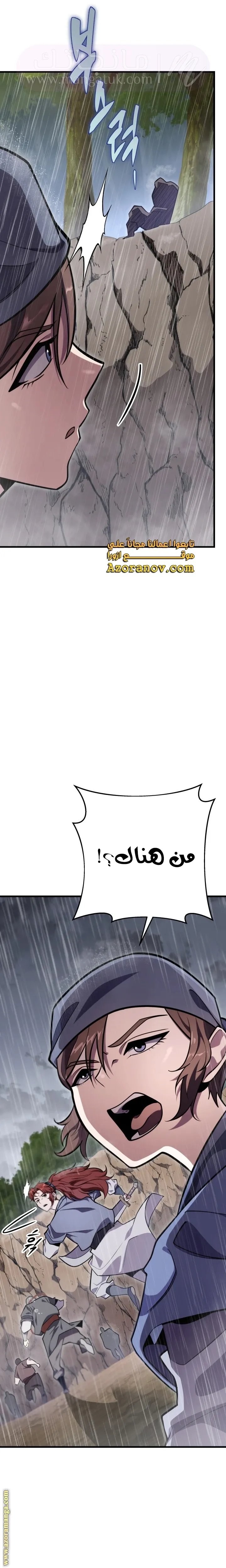 الصفحة 17
