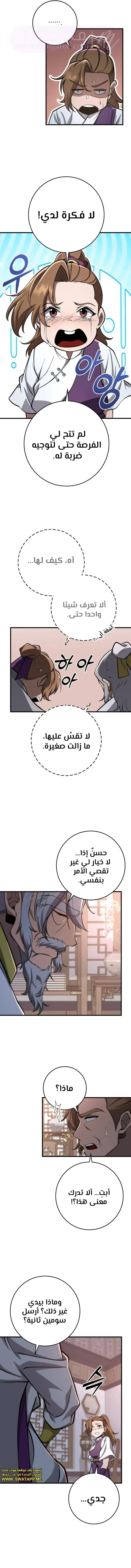 الصفحة 17