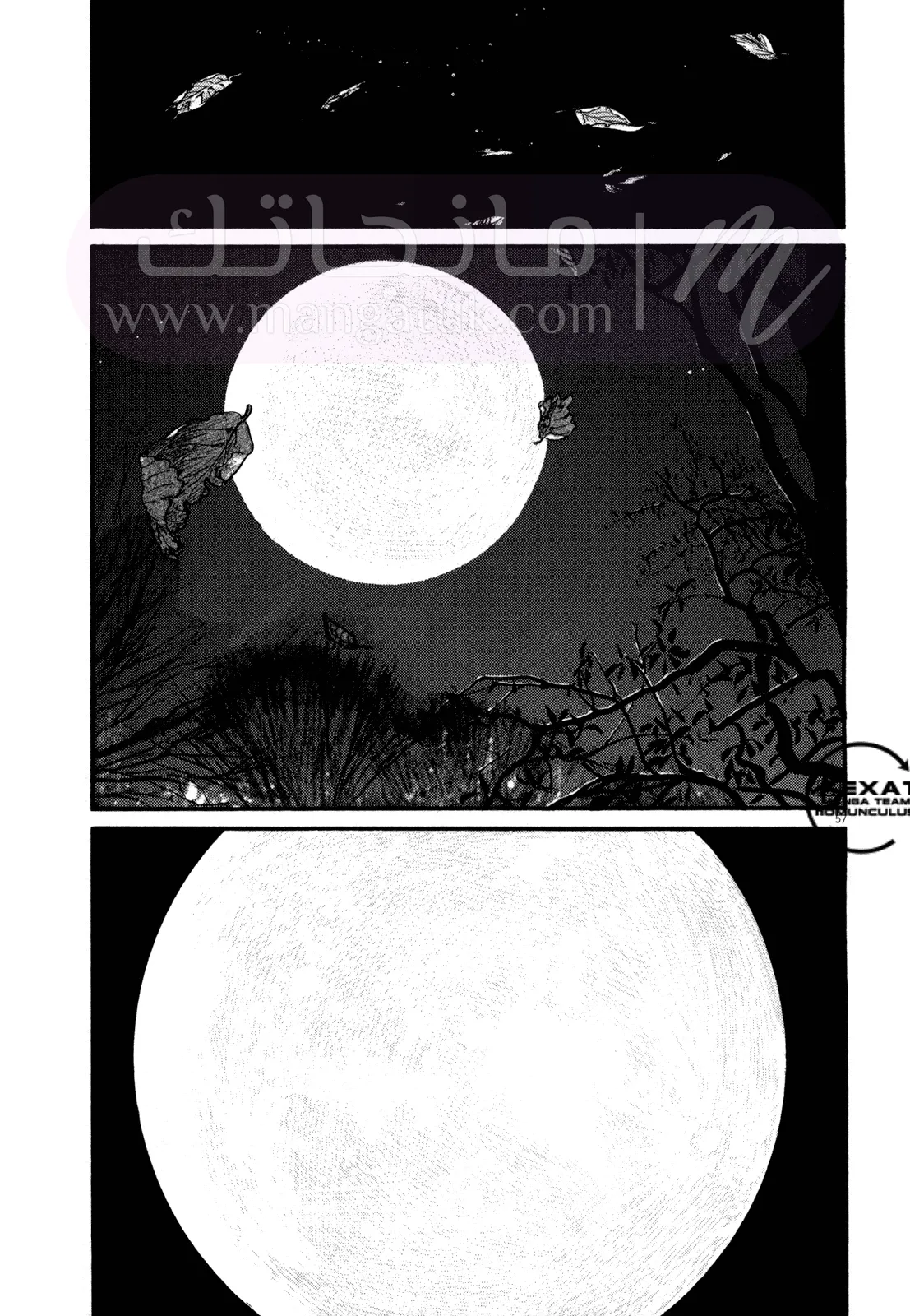 الصفحة 6