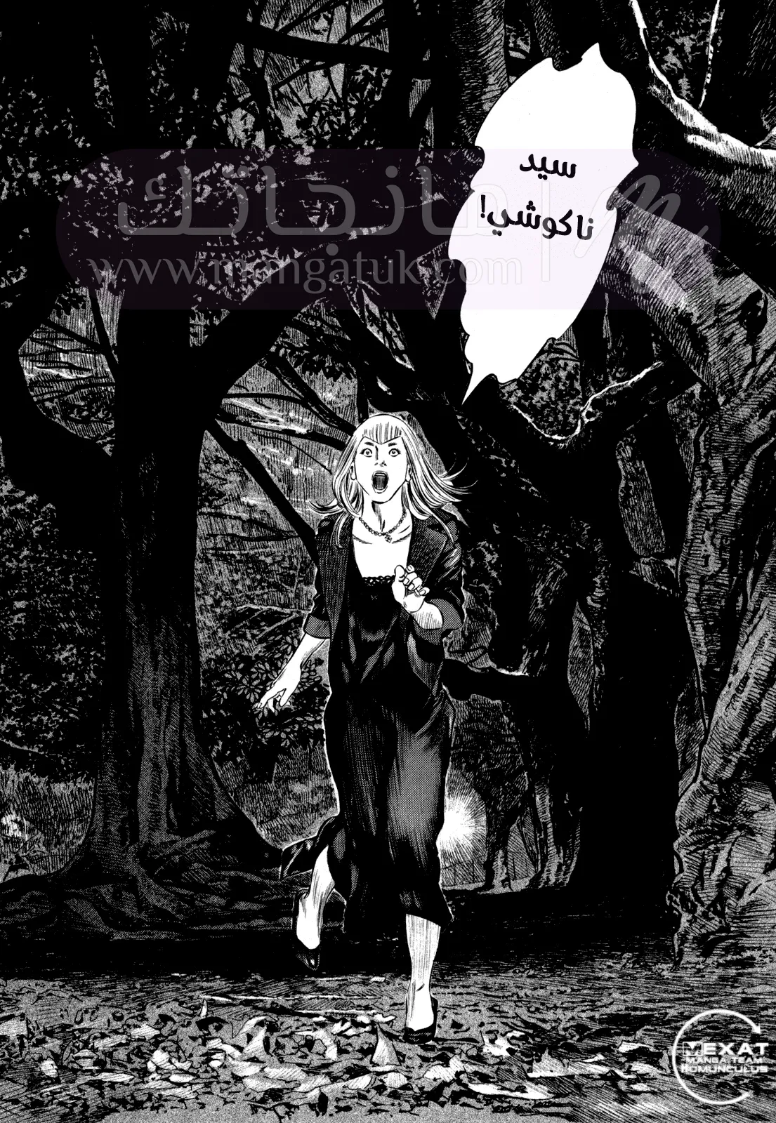 الصفحة 13