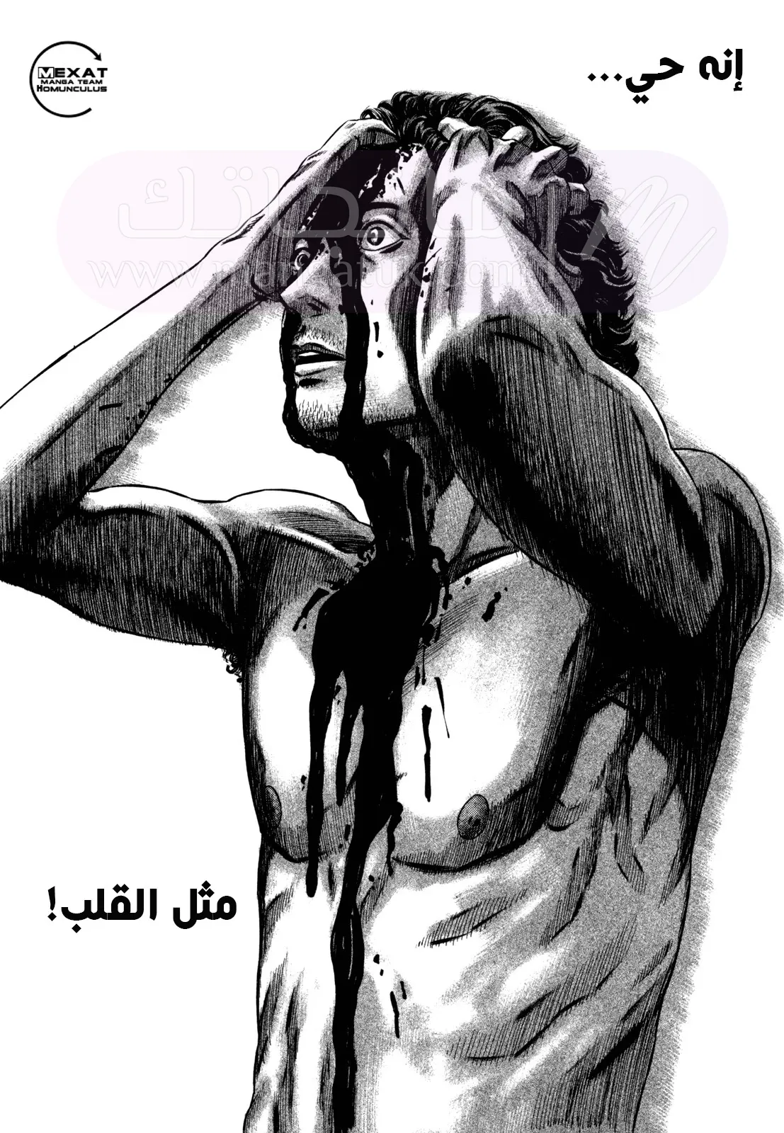 الصفحة 12